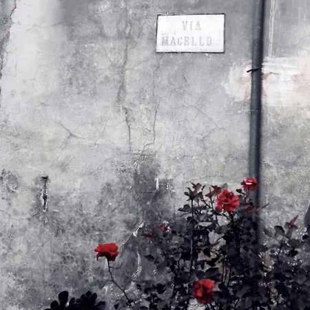 Σπίτι διακοπών La Casa Di Cinzia *