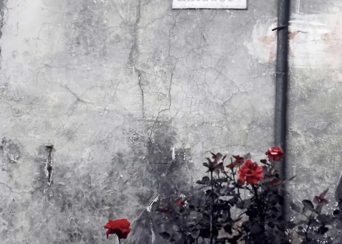 Casa vacanze La Casa Di Cinzia *